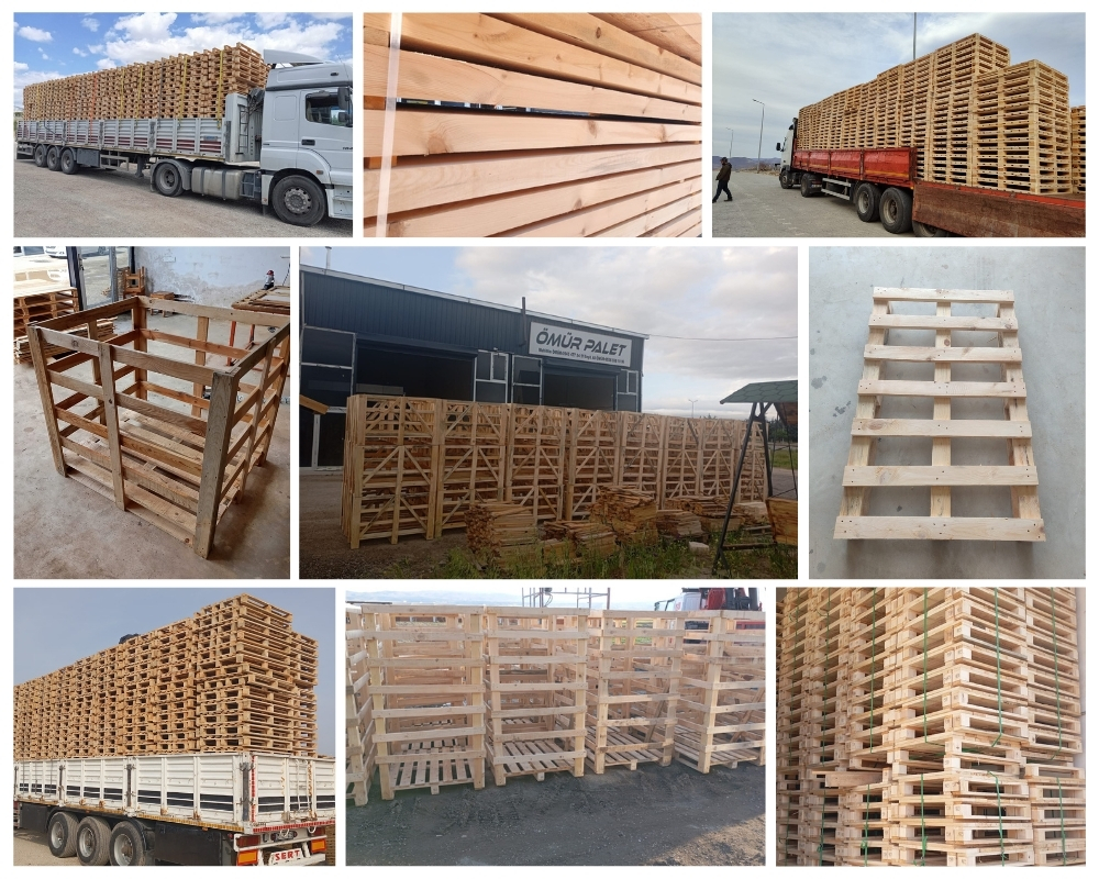 Thannington Wooden Pallets, Buy Wooden Pallets Wholesale